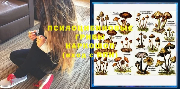 гидропоника Козловка