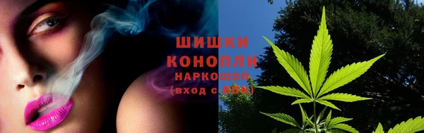дурь Кодинск