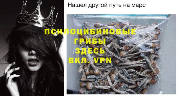 МДПВ Нягань